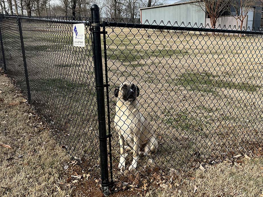 Louisville TN black pvc chain link fence