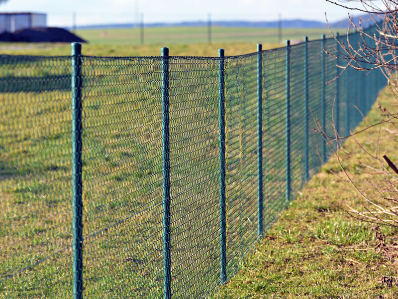 Louisville TN green pvc chain link fence